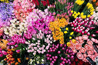 《迷失岛4 小屋实验》Steam页面上线 明年发售